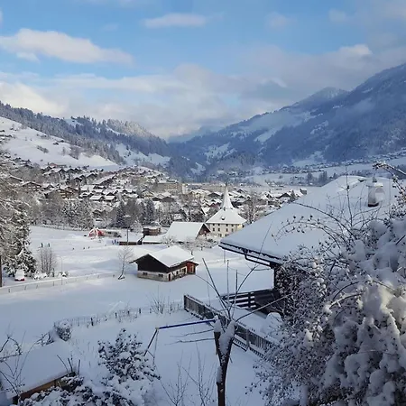 Burkhalter By Interhome Appartement Zweisimmen