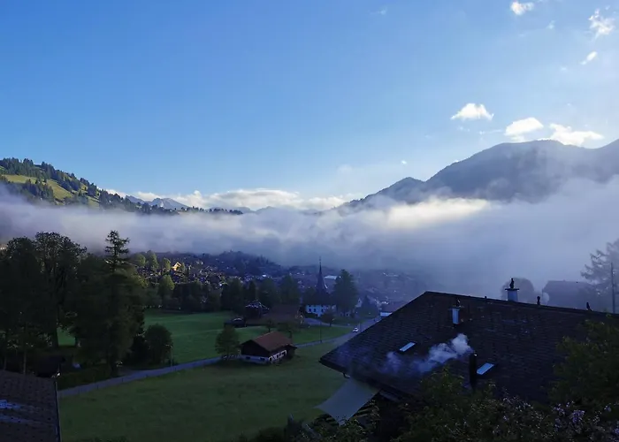 Burkhalter By Interhome *