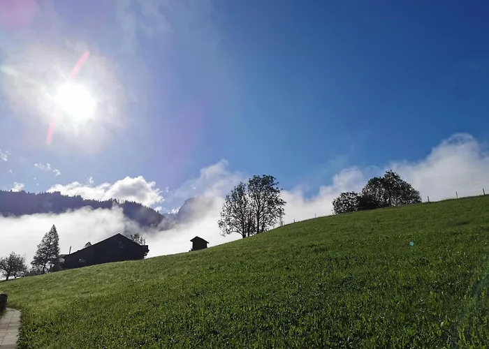 Burkhalter By Interhome Lejlighed Zweisimmen