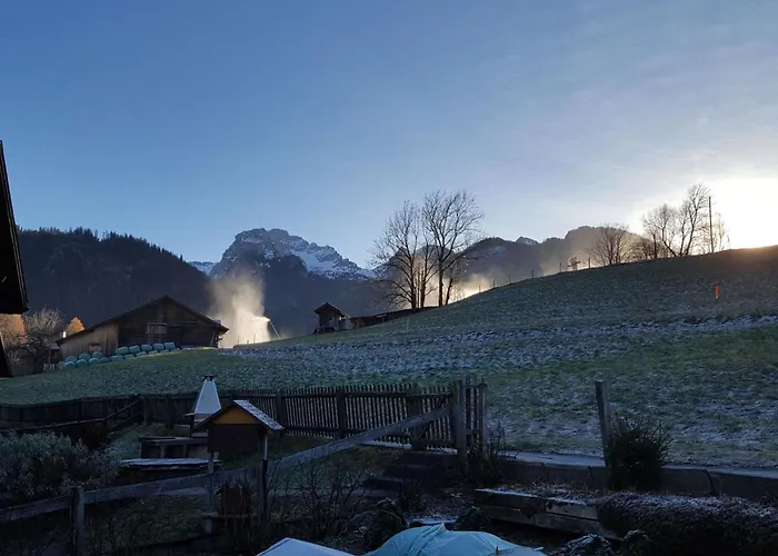 Burkhalter By Interhome Zweisimmen