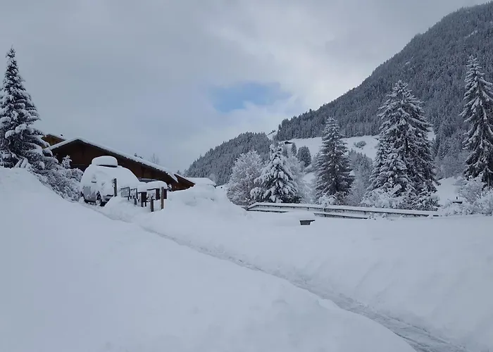 Lejlighed Burkhalter By Interhome Zweisimmen