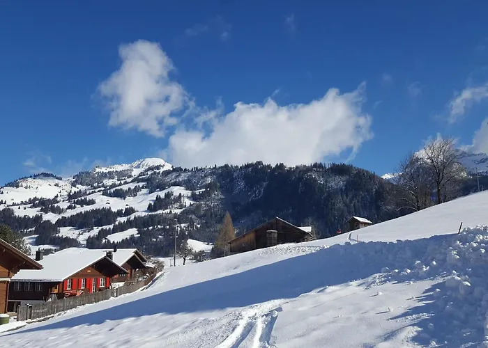 Lejlighed Burkhalter By Interhome