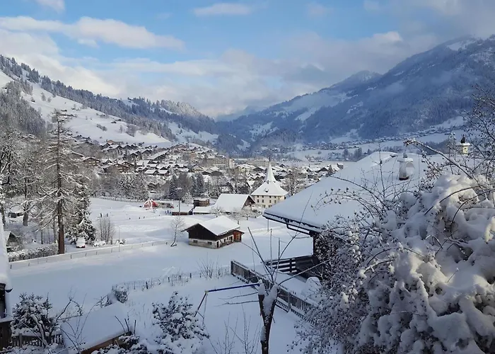 Burkhalter By Interhome Lejlighed Zweisimmen