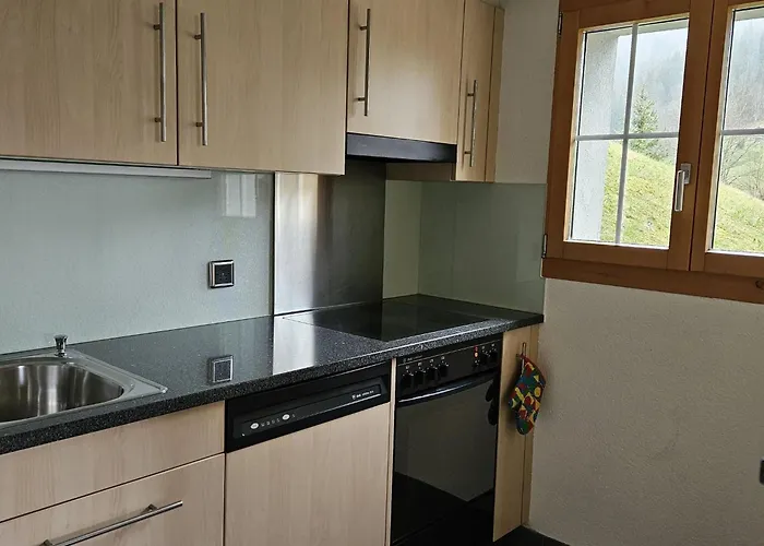 Burkhalter By Interhome Appartement *