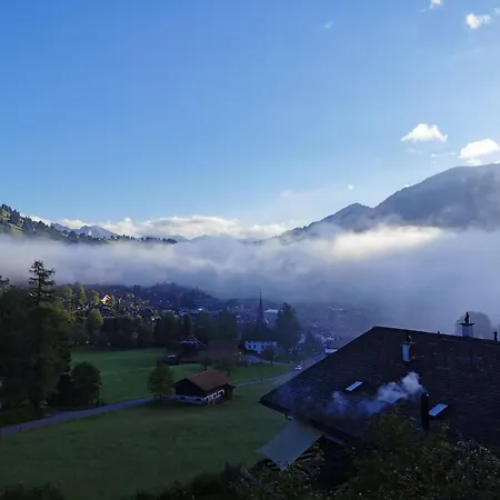 Burkhalter By Interhome *