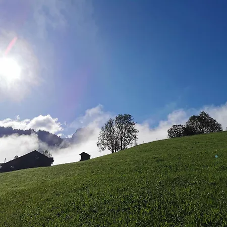 Burkhalter By Interhome Apartment Zweisimmen