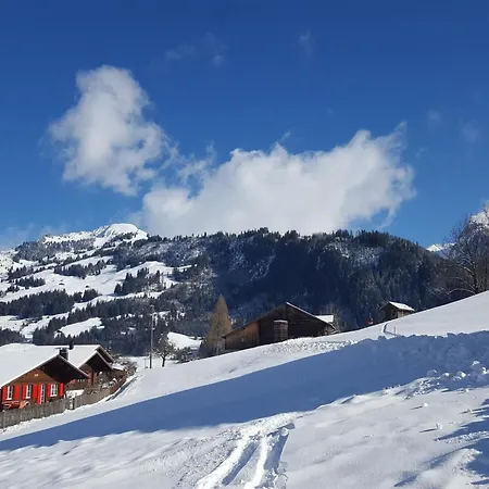 Apartment Burkhalter By Interhome